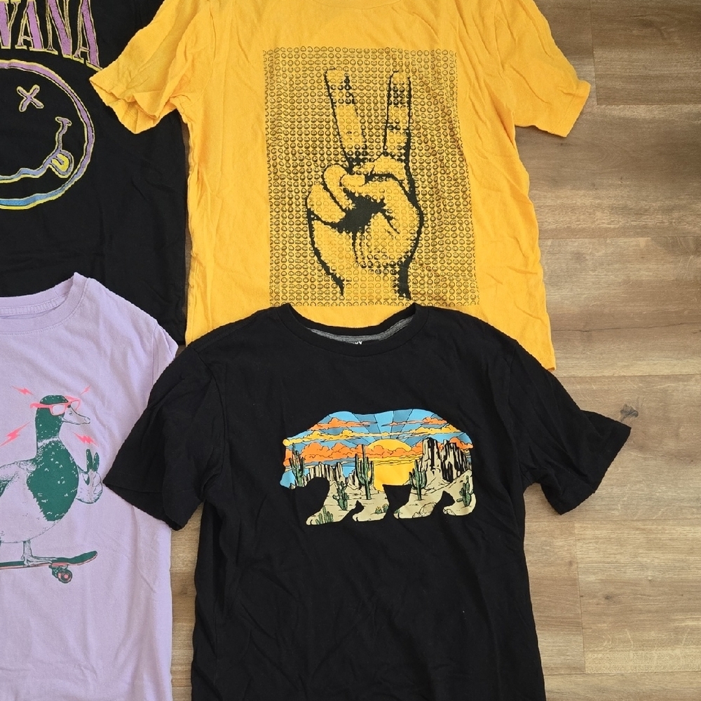 Boy's Graphic T-Shirt Bundle (21 Shirts) - Picture 7 of 16